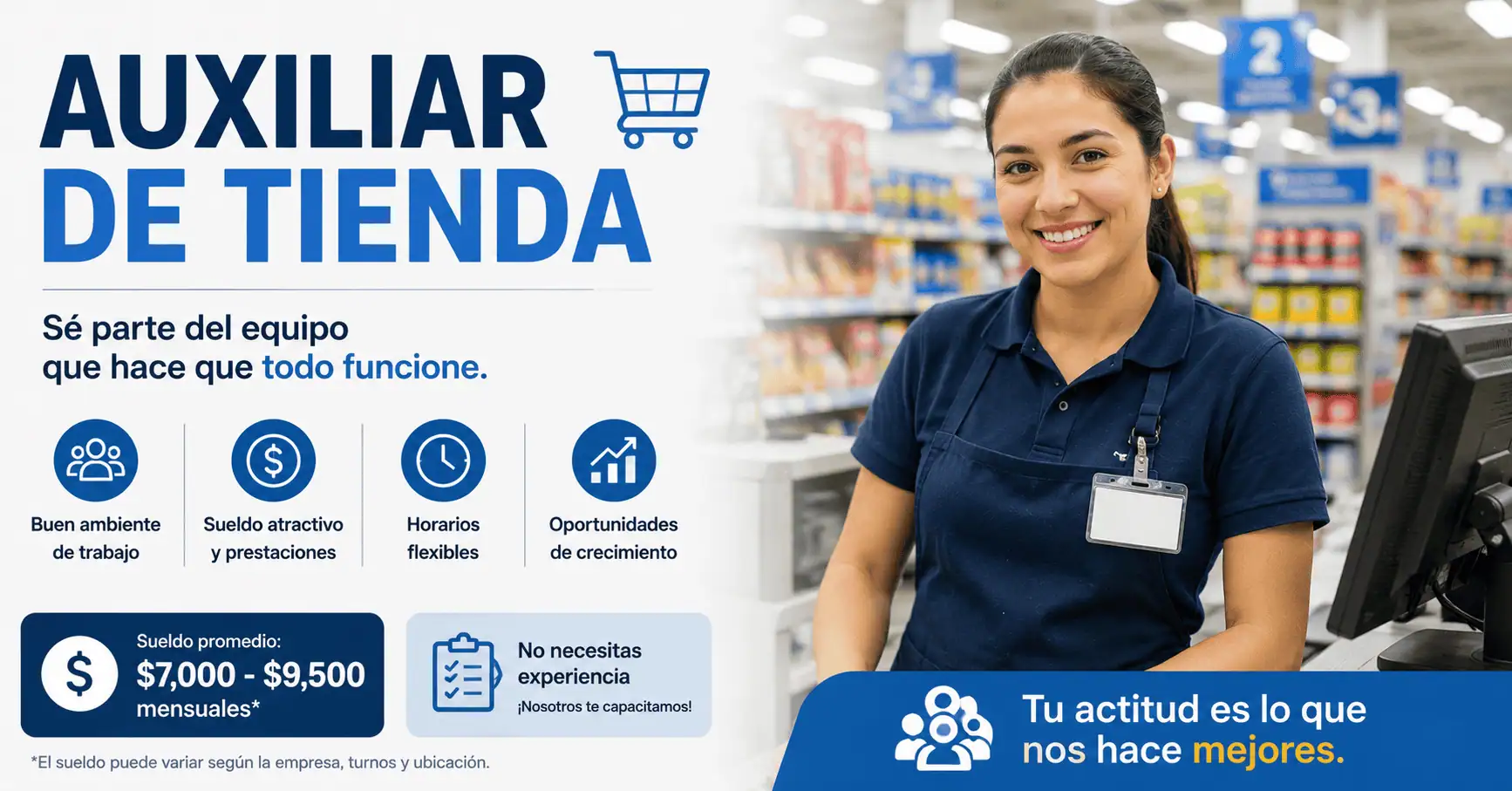auxiliar de tienda